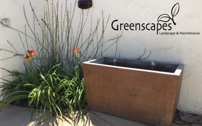 Greenscapes Landscaping