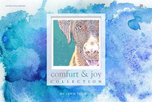 Comfurt & Joy Collection